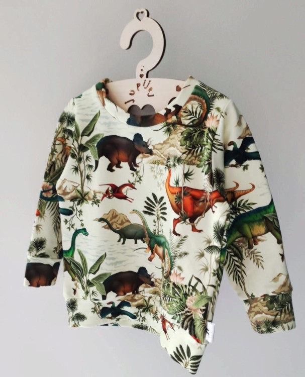 Bluza dziecięca dinozaury