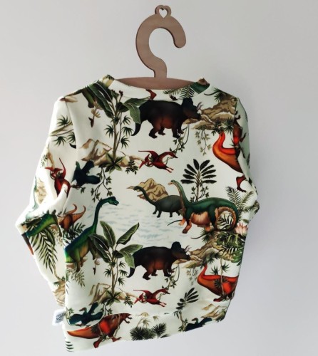 Bluza dla chłopca w dinozaury