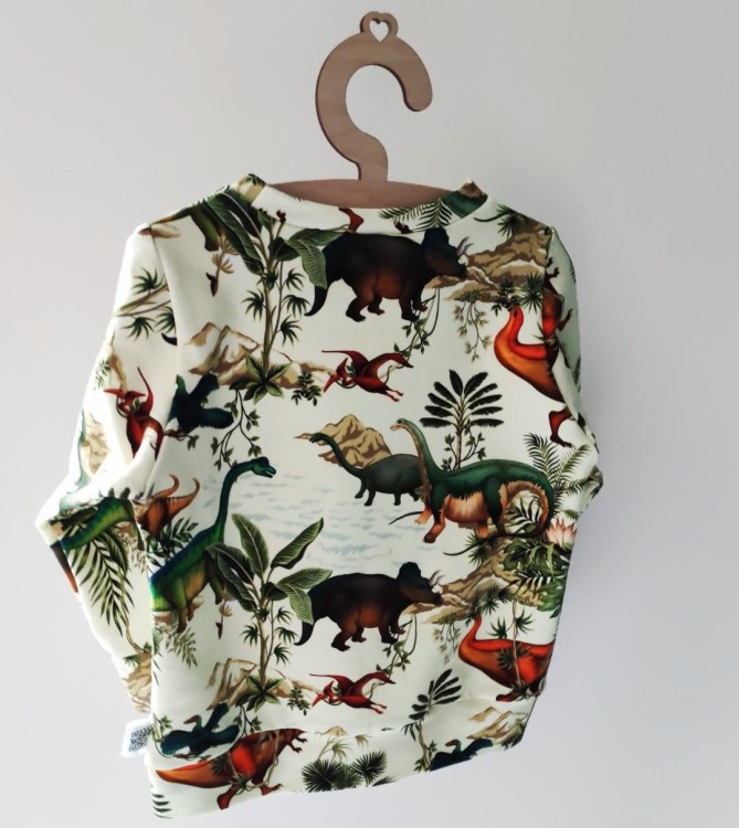 Bluza dla chłopca w dinozaury