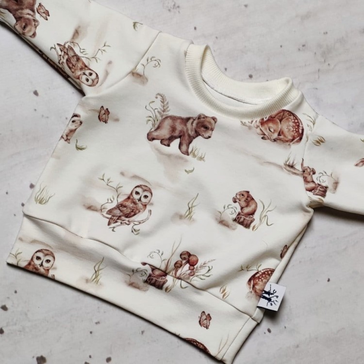 bluza dla chłopca zwierzątka leźne